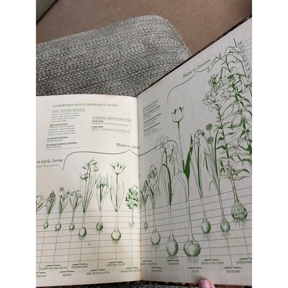 Good Housekeeping Illustrated Encyclopedia of Gardening 3 - Picture 9 of 9